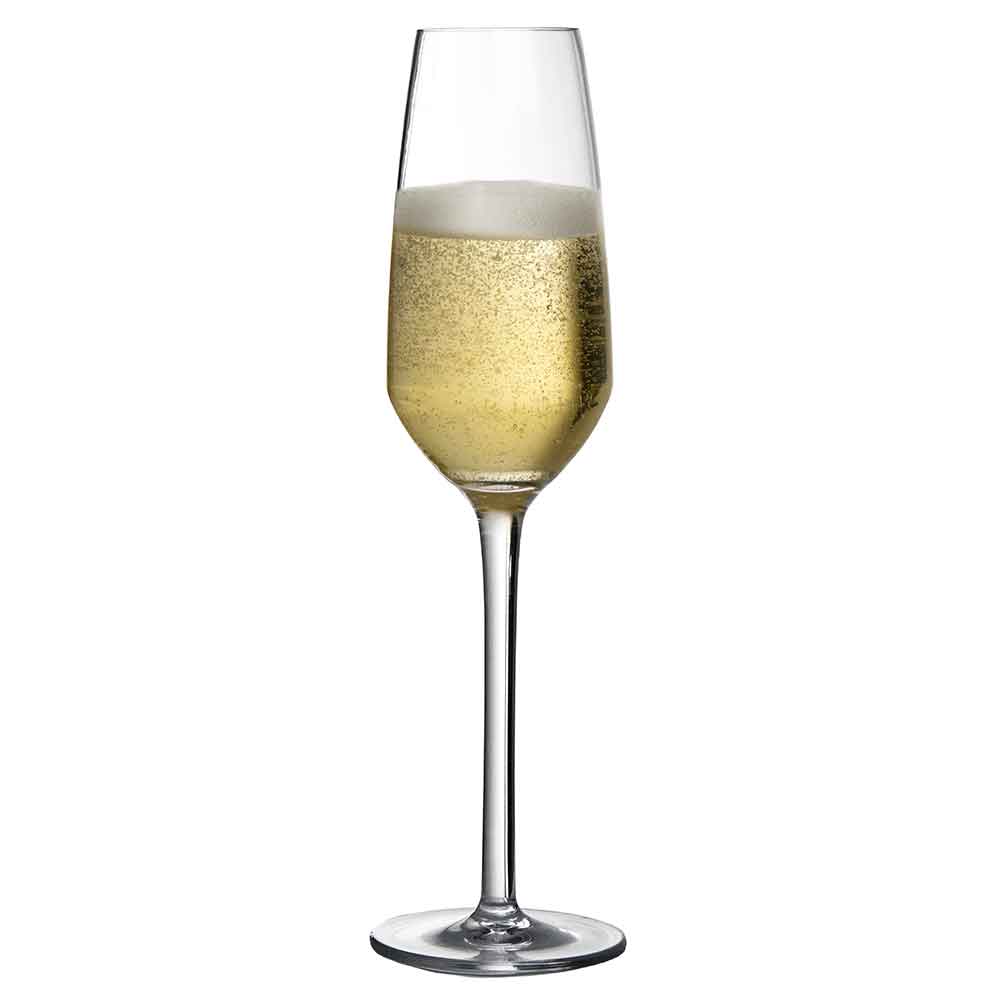 Copa de Champán de Plástico Irrompible Iris - 24 cl