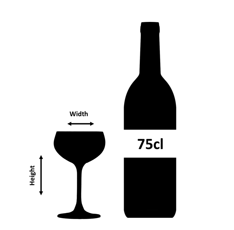 Retro Optic Champagne Glass Coupe 21cl- Box4