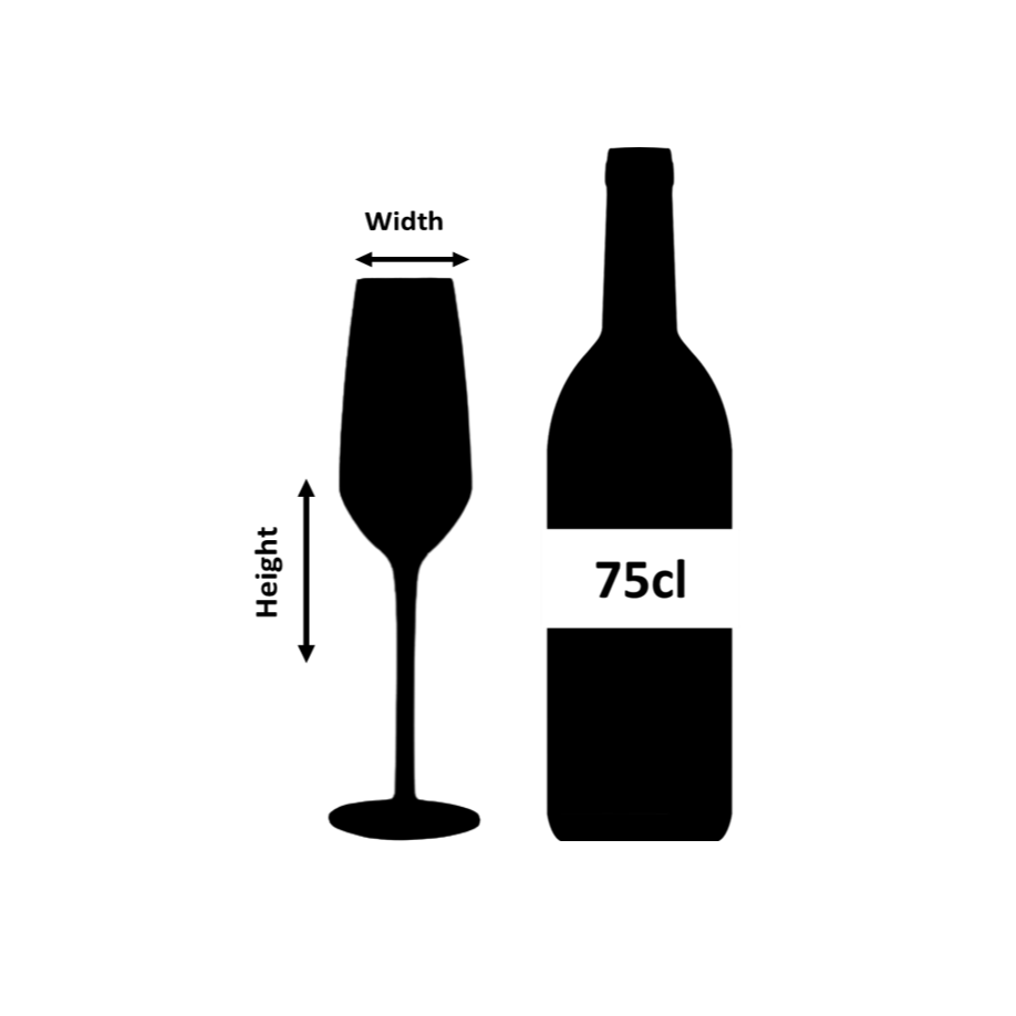 Copa de Champán de Plástico Irrompible Iris - 24 cl
