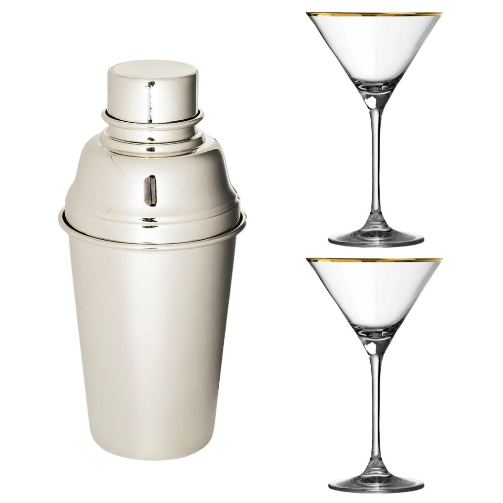 Ensemble luxueux de shaker en argent et de verres à bord doré