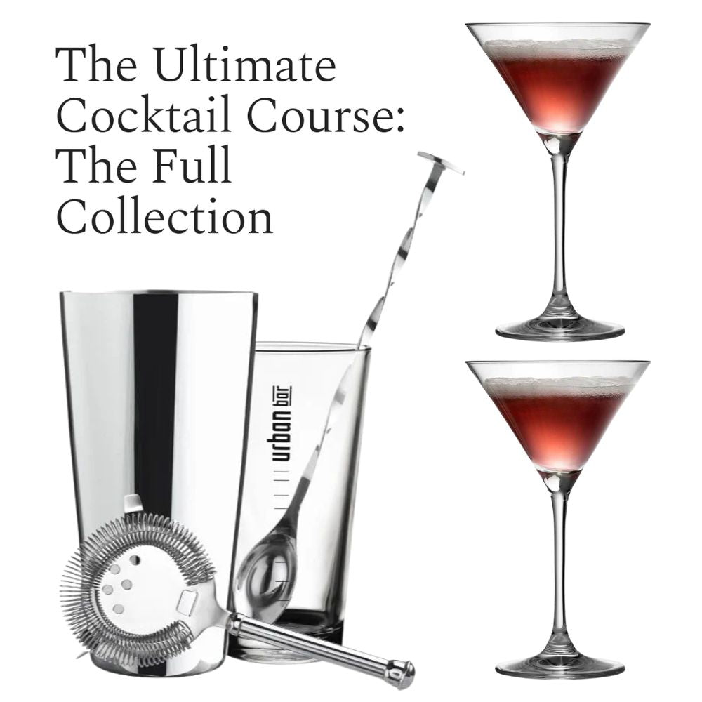 Coffret à cocktails et expérience cadeau ultime avec Martini