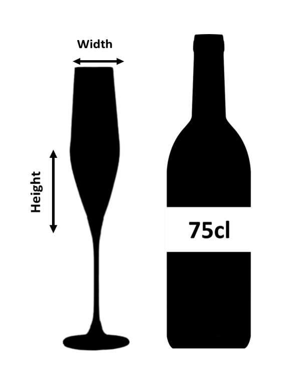 Bacci Copa de Champán de Cristal - 19 cl