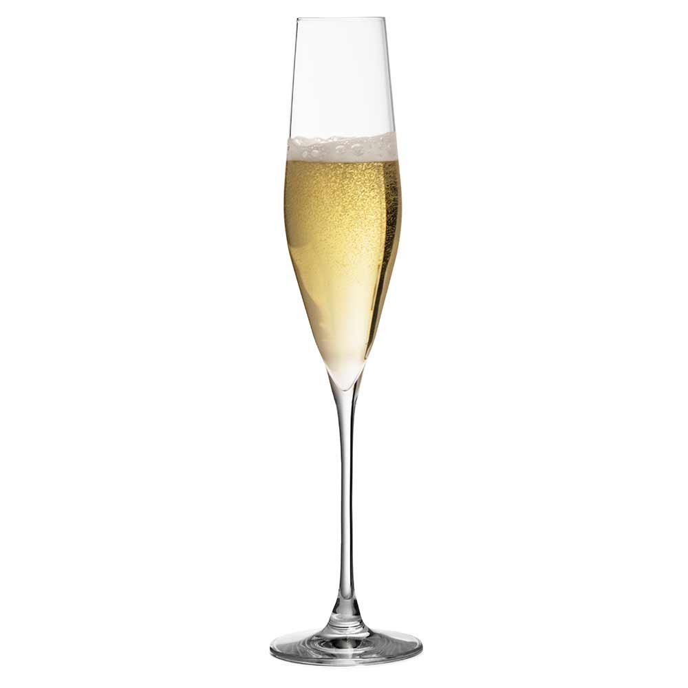 Bacci Copa de Champán de Cristal - 19 cl